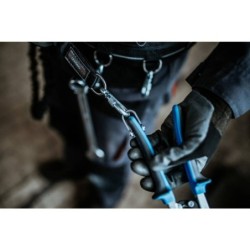 ALYCO 197497 - en emble de...